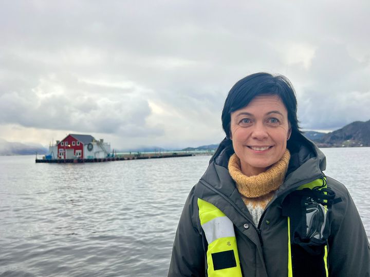 Det er viktig at det systematiske arbeidet med å bedre fiskehelsen og -velferden fortsetter, slik at vi kan se en varig nedgang, sier avdelingsdirektør Ingunn Sommerset på Veterinærinstituttet.