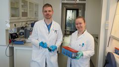 Forsker Bjørn Christian Schirmer og Karoline Sofie Gjelstad undersøker jordprøvene de har fått fra NIBIO. Foto: Mari M. Press, Veterinærinstituttet.