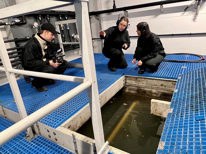 Filmen syner kor nitid og systematisk ein jobbar med forsking, diagnostikk og innovasjon i jakta på dødelege bakteriar i komplekse, landbaserte oppdrettsanlegg. Frå venstre Michael Lasanta, Signe Jordal og Sonal Patel. Foto: Asle Haukaas, Veterinærinstituttet