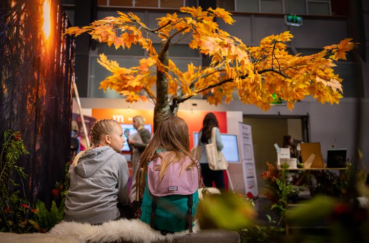 Voksenåsens monter på Bokmässan
