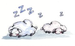 Boken er nydelig illustrert av Gunvor Rasmussen