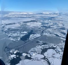 Isflak i Diskobukta sett ovenfra