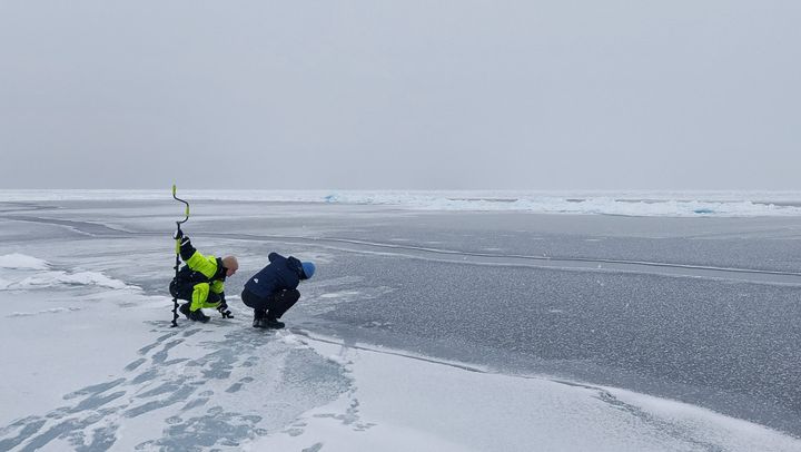 To forskere sitter ved iskanten ved Diskobukta i Grønland.