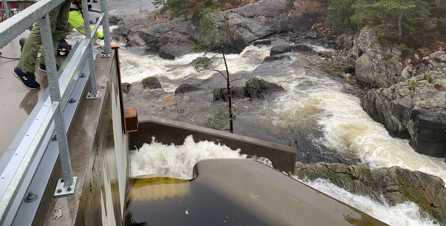 Foss, dam, vann, to mennesker i arbeidsklær, fuglekasse. Foto.