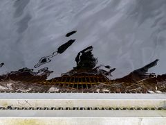 Vann, elv, metallrist. Foto.