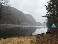 Elv, skog, himmel. Foto.