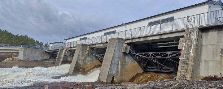 Dam, vann, fjell, skog, himmel. Foto.