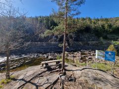 Elv, vann, skog. Foto.