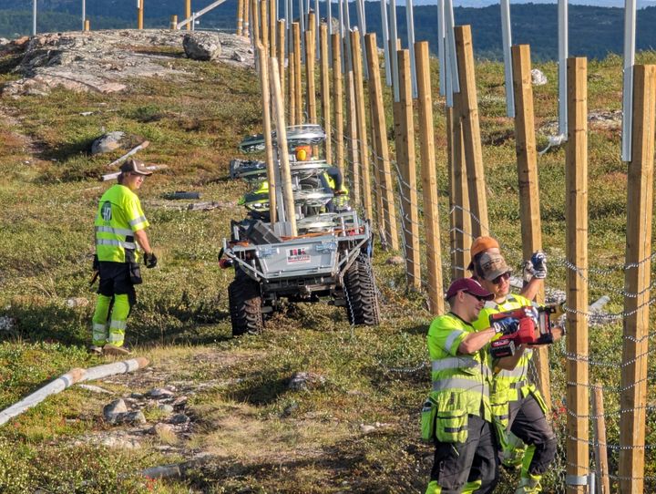 Montering av nytt reingjerde lkangs den norsk-russiske grensen.