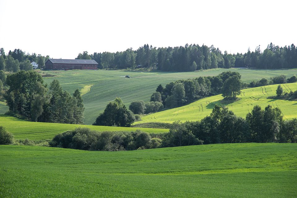 Kommuner Kan Søke Tilskudd Til å Utarbeide Egen Jordvernstrategi ...