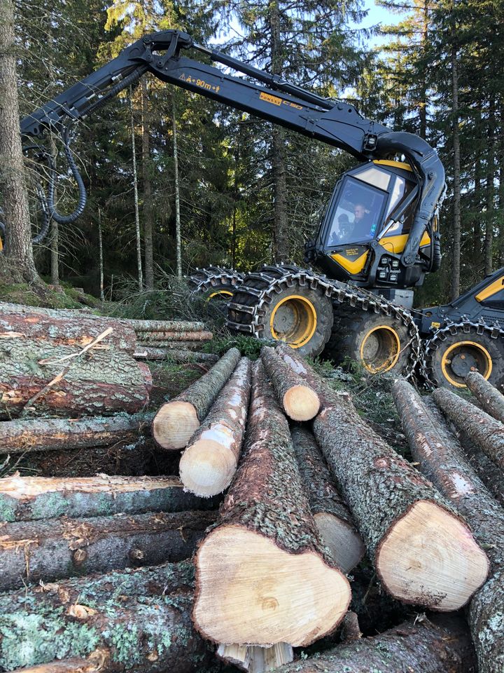 Skogsmaskin i arbeid
