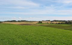 Jordbrukslandskap med gårder i bakgrunnen