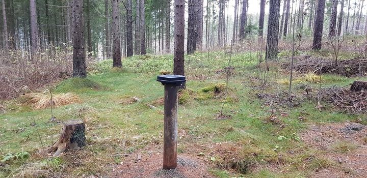 Felle for fangst av granbarkbiller. Det er en sort plastboks på en påle i skogen.