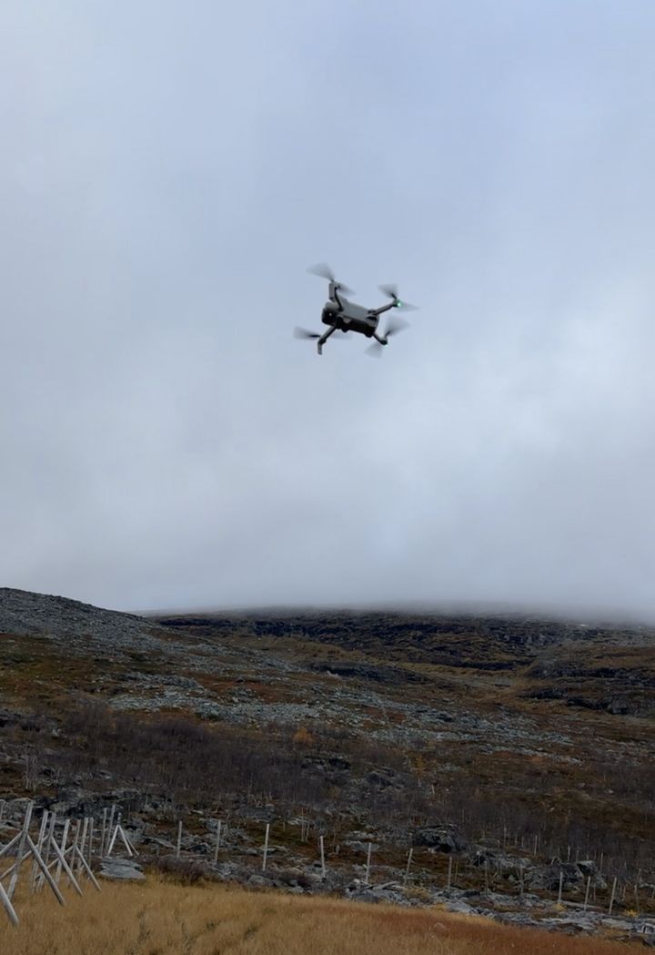 Drone tar av for telling av en reinflokk. Bilde av dronen med grå himmel over og en steinete vidde under.