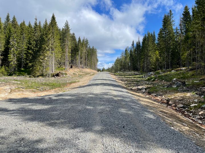 Bilde av en grusvei - skogsbilvei - med skog på begge sider.