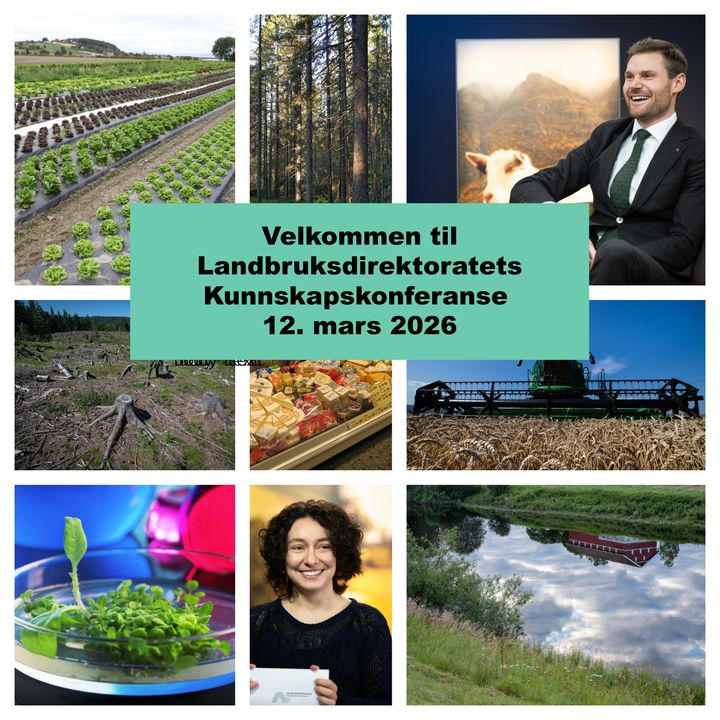 Invitasjonskort med bildekollasj fra skog og landbruk, pluss bilde av statsråden. På den digitale konferansen 12. mars får du siste nytt fra norsk landbruk. Landbruks- og matminister Nils Kristen Sandtrøen snakker om forsking, innovasjon og kunnskapsutvikling for fremtidsrettet matproduksjon. Du er hjertelig velkommen.