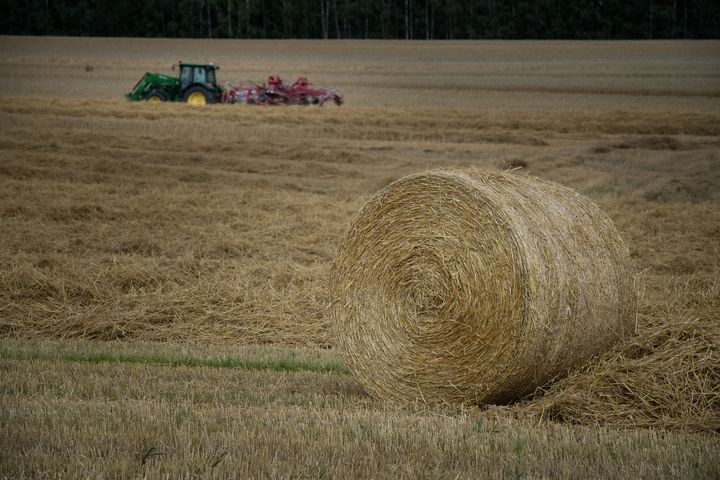 Høstgyllent kornjorde med rundballe i forkant og en traktor i bakgrunnen.