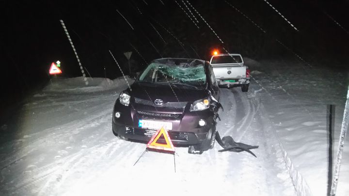 Vraket bil etter elgpåkjørsel. Foto: Landbruksdirektoratet.