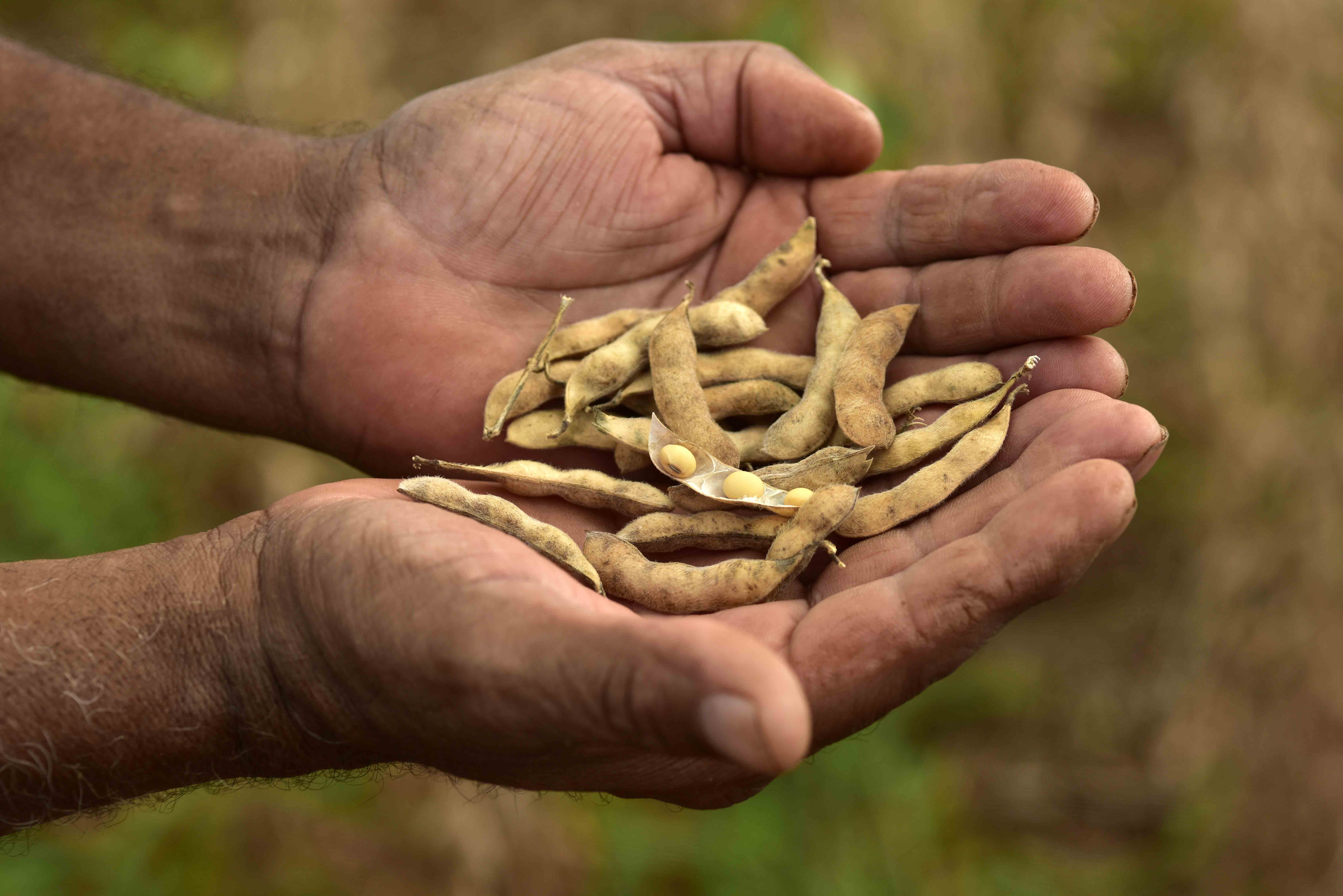 Brasiliansk samarbeid baner vei for regenerativt forbruk under COP30