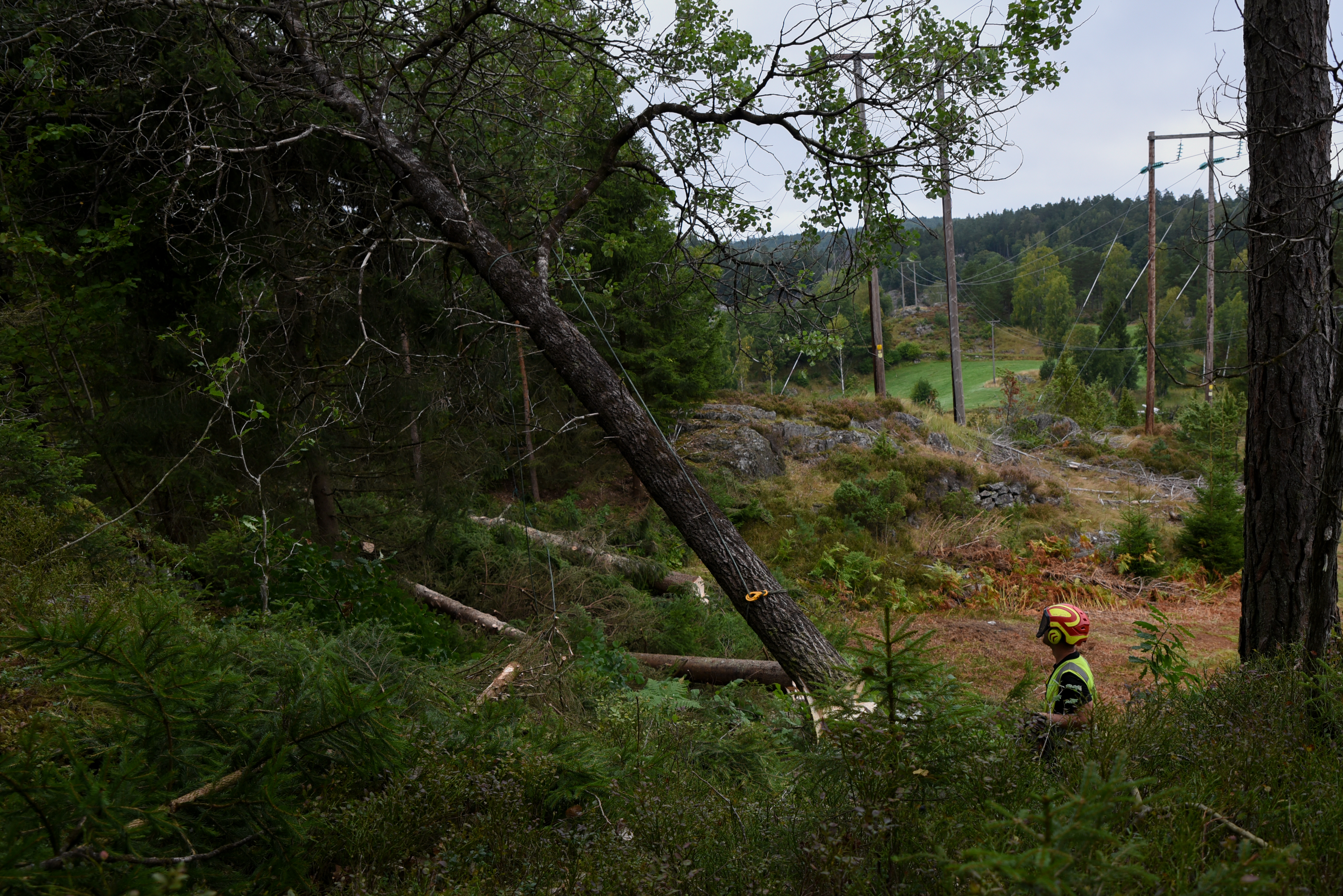 Ny tilskuddsordning skal trygge strømnettet