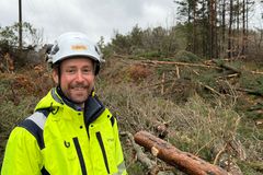 Martin Slot, fagansvarlig skog i Glitre Nett