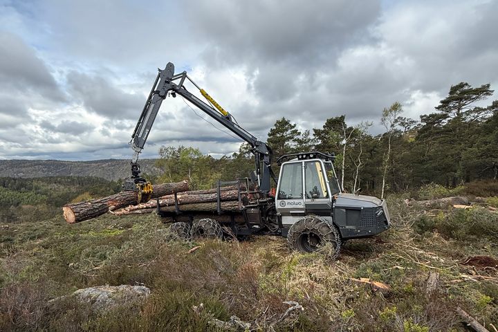 Glitre Nett har tildelt firmaet AltiSkog oppdraget med skogrydding av ledningstrase for ny 132kV luftledning mellom Vallemoen transformatorstasjon i Lindesnes og Kvinesdal Koblingsstasjon.