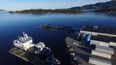 Florø havn med flere båter ved kaiene. Bakgrunnen viser en rolig sjø og en øy med skog.