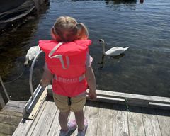 En lliten jente med rosa redningsvest står med ryggen til kamera på en brygge. Hun ser ut mot sjøen og to hvite svaner.