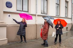 Halden kommune ble sertifisert som et Trygt lokalsamfunn i 2022. Her ser man rådgiver Gun Kleve peke på Trygge lokalsamfunnsskiltet under en byvandring med andre kommuner på besøk. (Foto: Skafor)