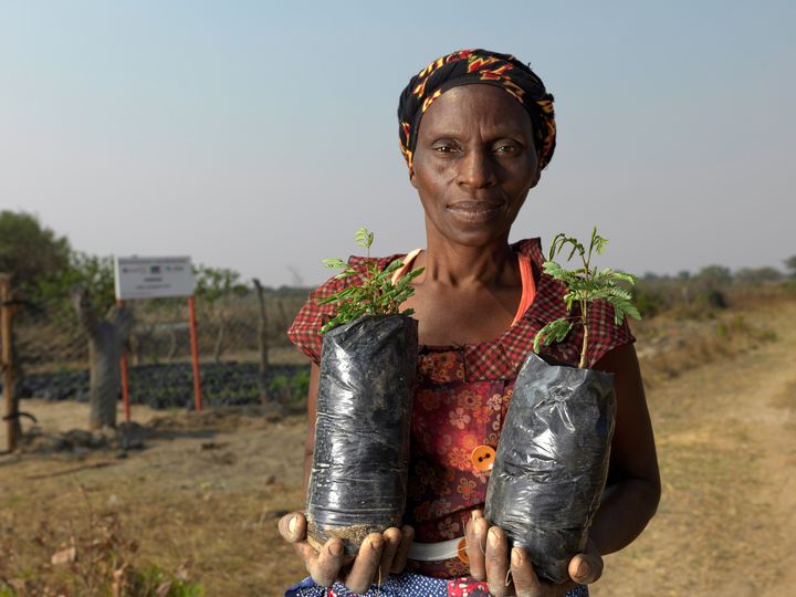 Torsdag 11. januar lanserer CARE International sin rapport om de mest underrapporterte krisene i 2023. Fembarnsmoren Febby er fra Zambia, og som småskala bonde merker hun klimaendringer på kroppen. Zambia er land nummer tre på CARE sin liste.