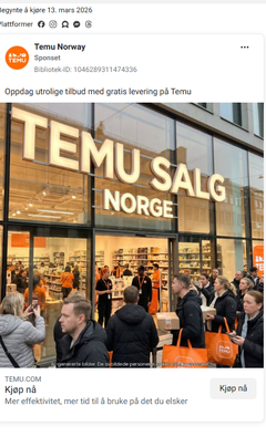 Villedende KI-reklame fra Temu