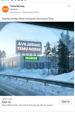 Villedende KI-reklame fra Temu