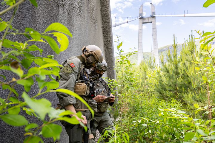 Minedykkerkommandoen under Counter Sabotage 2025 sammen med politiet og svenske styrker på Hardangerbroen.