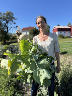 -Den nye støtteordningen for småskala grønnsproduksjon er viktig for beredskap, folkehelse og lokale matsystemer, sier Randi Ledaal Gjertsen fra Bondens marked.
