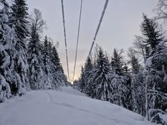 Snø på linjene i Balsfjord skaper problemer (Foto: Halvard Nilsen, Arva)