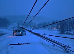 Resultat av en vinterstorms herjinger (Foto: Torfinn Salmi, Arva)