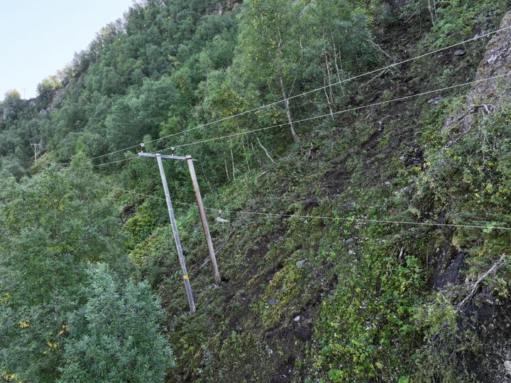 Steinraset tok strømlinja
