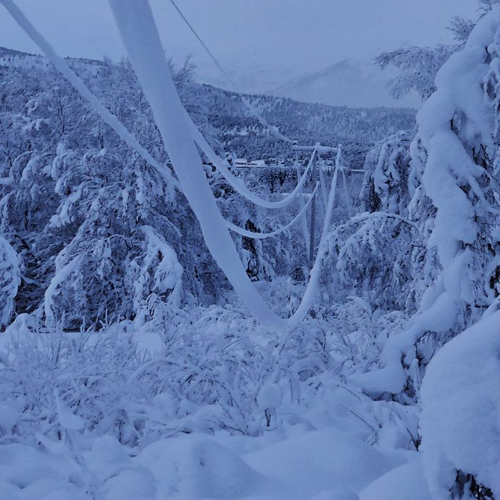 Høyspentlinja er tynget kraftig ned av snø og is.