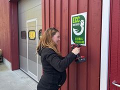 Stolt av overgangen til Norsk Kylling og ECC. Mari Solstad har odel på gården i Skaun og er allerede godt involvert i kyllingproduksjonen. Foto: Norsk Kylling