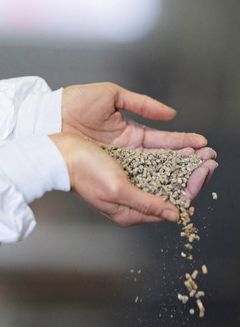 70 prosent av utslippene til Norsk Kylling AS kommer fra fôret kyllingen spiser. Med bedre helse tar kyllingene til seg næring bedre, og har fått høyere vekt, noe som gjør at de kan spise et lettere fôr med lavere utslipp. Foto: Elin Iversen