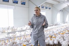 Hilde Talseth i Norsk Kylling forteller at flere og flere aktører etterspørr ECC-kylling med bedre dyrevelferd. Foto: Terje Trobe.