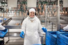 Tjener godt på kylling som vokser saktere. Hilde Talseth er stolt over at Norsk Kylling leverer tidenens beste år på dyrevelferd og økonomiske resultater. Foto: Elin Iversen