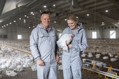 Tar ansvar for bedre dyrevelferd. 2025 har vært selskapets beste år på dyrevelferd, med en totaldødelighet på 1,85 % (ned 8 % fra 2024), og en førsteukedødelighet på 0,73 %, ned 20 % fra 2024. F.v. Snorre Hellesvik, slaktekyllingbonde i Meldal og Hilde Talseth, administrerende direktør i Norsk Kylling AS. Foto: Terje Trobe