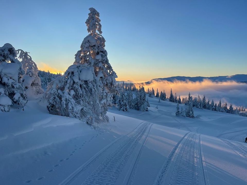 Powder Alert In Hafjell And Kvitfjell! | Hafjell Alpinsenter