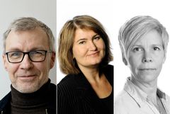 Fra vestre: Hans Mjelva, Maria Carling og Marita E. Valvik