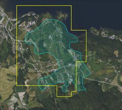 Den gule boksen viser Rare Earths Norways rettighetsområde på Fensfeltet, mens det skraverte feltet angir mineralressursen der de sjeldne jordartene finnes.