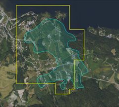 The yellow box shows Rare Earths Norway’s license area in the Fen deposit, while the shaded area indicates the mineral resource where the rare earth elements are located.