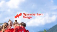 Slik blir den nye logoen til Norges største sparebank.