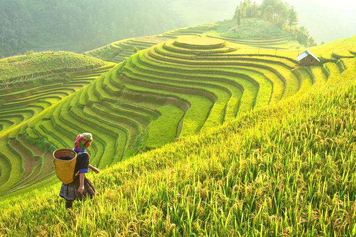 Vietnam er et land som har tatt av som reisemål, særlig det siste året.