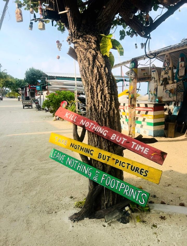 Tre%20med%20tre%20fargerike%20skilt%20p%E5.